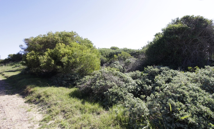 Commercial Property for Sale in Paradise Beach Eastern Cape
